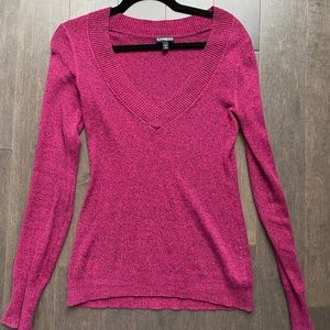 Express vneck sweater